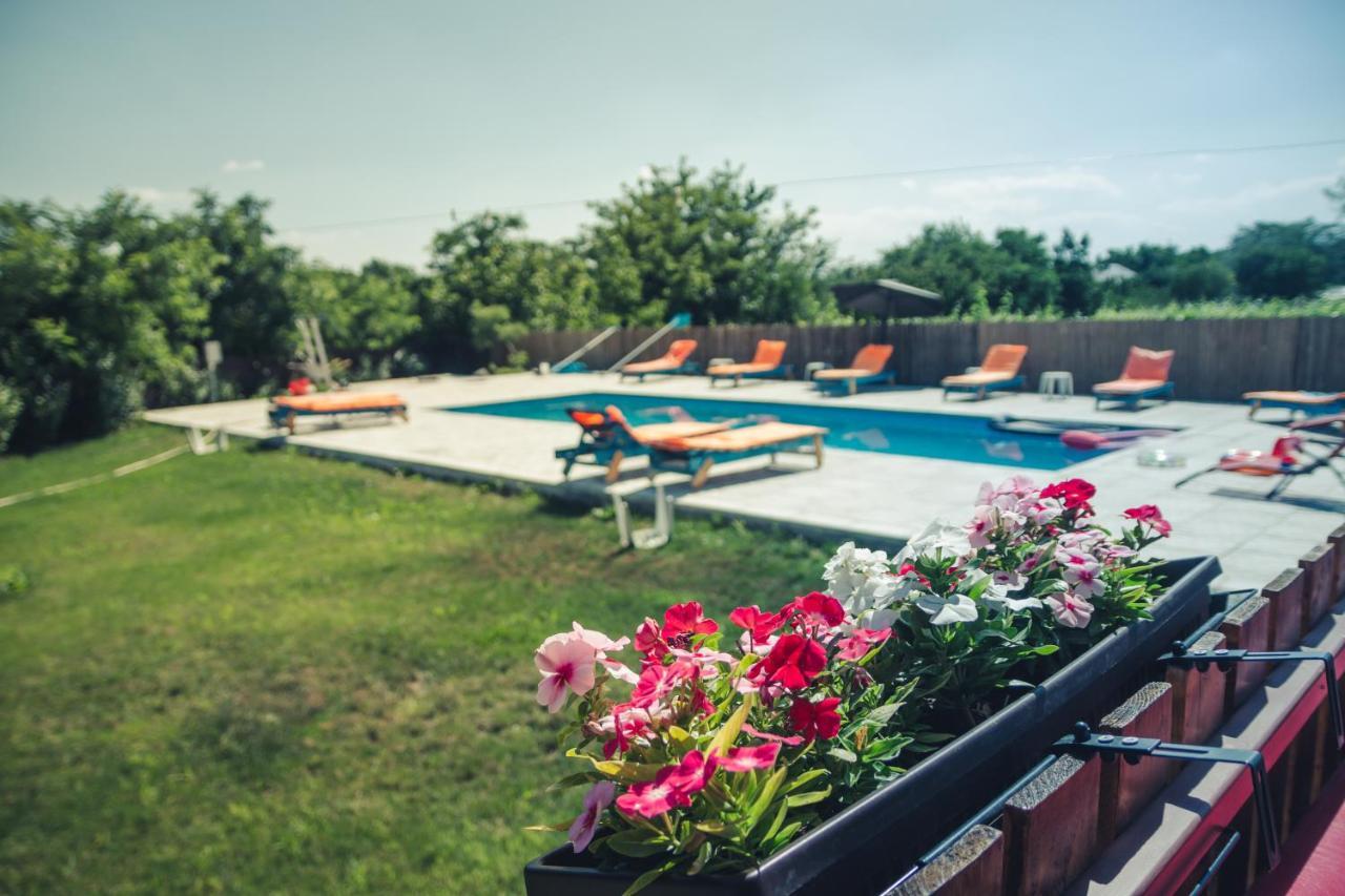 Pensiunea La Nenea Iancu Greci Exterior foto